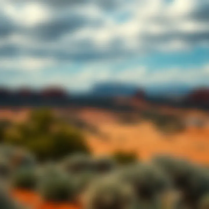 Scenic view of diverse Australian landscape symbolizing equality and opportunity